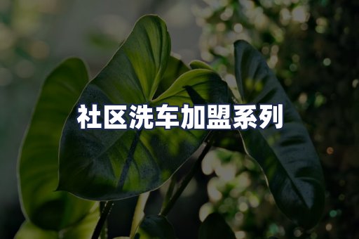 社区洗车加盟系列
